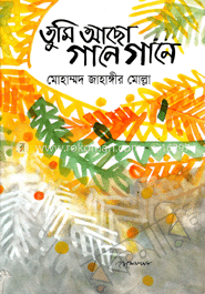 তুমি আছো গানে গানে 