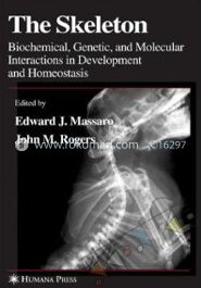The Skeleton Biochemical Genetic and Molecular Interaction in Development and Homestasis image