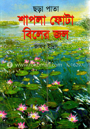 শাপলা ফোটা বিলের জল