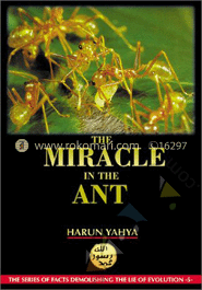 The Miracle In the Ant