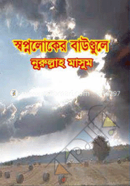 স্বপ্নলোকের বাউণ্ডুলে image