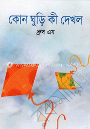 কোন ঘুড়ি কী দেখল