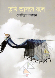 তুমি আসবে বলে