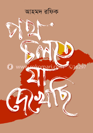 পথ চলতে যা দেখেছি