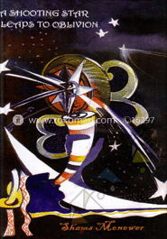 A Shooting Star Leaps To Oblivion
