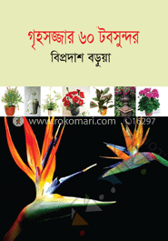 গৃহসজ্জার ৬০ টবসুন্দর