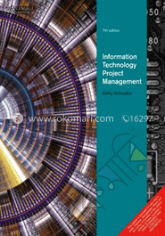 Information Technology Project Management