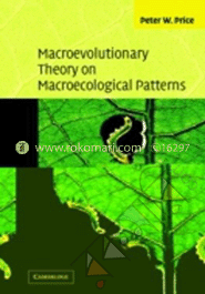 Macroevolutionary Theory on Macroecological Patterns