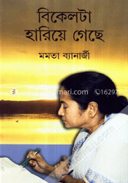বিকেল টা হারিয়ে গেছে