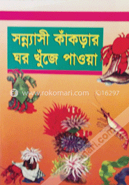 সন্নাসী কাঁকড়ার ঘর খুঁজে পাওয়া image