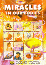 Miracles in Our Bodies 