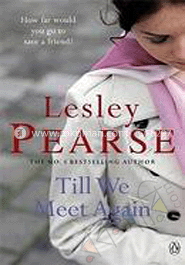 Till We Meet Again image