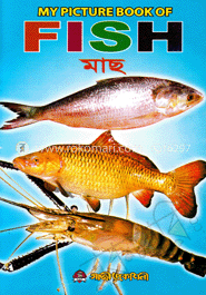 মাই পিকচার বুক অব ফিশ image