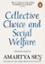 Collective Choice and Social Welfare