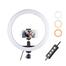 10 Inch LED Selfie Ring Light YouTube Video Live Makeup Lamp Photo Studio Light With Phone Holder USB image
