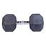 25 Kg Hex Dumbbell - Black image