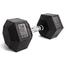 25 Kg Hex Dumbbell - Black image