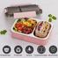 2 Compartment Leak Proof Insulated Stainless Steel BPA Free Insulated Lunch/Tiffin Box image