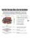 DDecorator Street Life Wall Mural Design Laptop Sticker image