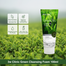 3w Clinic Green Tea Cleansing Foam 100ml image