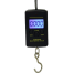 40kg X 10g Mini Digital Scale For Fishing Luggage Travel Weighting Steelyard Portable Electronic Hanging Hook Scale image
