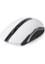 Rapoo Wireless Optical Mouse (7200P) image