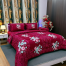Diamond Touch 5 Piece Premium Twill Cotton Comforter Set (Red Flora Print) image