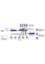 24-Port ProSafe Gigabit Rackmount Switch (JGS524) image