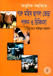 Adhunik Poddotita Goru Mohis Cagol Vera Palon O Cekissa