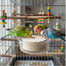 AVIVITA™ Universal Bird Mineral Block 15 gm image