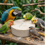 AVIVITA™ Universal Bird Mineral Block 15 gm image