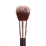 Absolute New York Tapered Bronzer Brush For Face - ABMB03 image