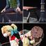 Action Figure DC Harley Quinn And Joker image