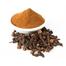 Acure Clove Powder (Lobongo Gura) - 30gm image