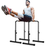 Adjustable High Push Ups Stand and Dips Station ( 38 inch ) image
