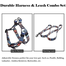 Adjustable Large Breed Dog Body Harness and Leash image