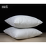 Agrey Hometex Standard Fiber Cushion, Tissue Fabric, Set of 5 image
