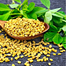Agro Acres Fenugreek Seeds/Methi 50gm image