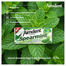 Aimdent Spearmint Sugar Free Chewing Gum - 18 Pcs image