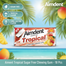 Aimdent Tropical Sugar Free Chewing Gum - 18 Pcs image