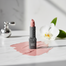 Alix Avien Glossy Lipstick 301 4.5gm image