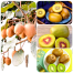 All Season Global Mini Kiwi Fruit Bonsai Seeds - 30 Plus Pcs image