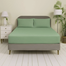 Allora Cotton Fitted Bed Sheet image