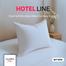 Allora Plush Soft Microfiber Pillow For Home and Hotel 18x24 Inch image