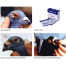 Anti pox Powder 10g For Any Bird image