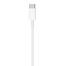 Apple Type C to Lightning Cable 1M image