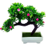 Artificial Bonsai Tree Rendom image