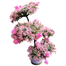 Artificial Bonsai Tree With Pink Flowers Rendom image