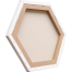 Artist Painting Canvas Hexagon Shape 10/10 image