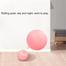 Automatic Rolling Electric Cat Moving Ball Toys image